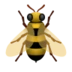 Honeybee
