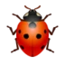 Lady Beetle