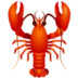 Lobster
