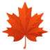 Maple Leaf