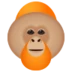Orangutan