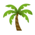 Palm Tree
