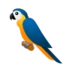 Parrot