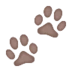 Paw Prints