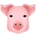 Pig Face