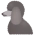 Poodle