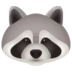 Raccoon
