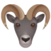 Ram