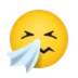 Sneezing Face