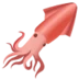 Squid