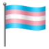 Transgender Flag