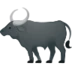 Water Buffalo