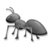 Ant
