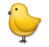 Baby Chick