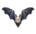 Bat