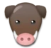 Boar