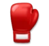 Boxing Glove