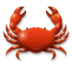 Crab