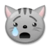 Crying Cat