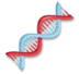 DNA