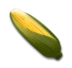Ear of Corn