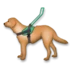 Guide Dog