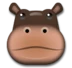 Hippopotamus