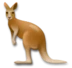 Kangaroo