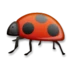 Lady Beetle