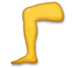 Leg