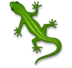 Lizard
