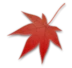 Maple Leaf