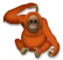 Orangutan