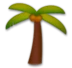 Palm Tree