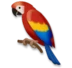 Parrot