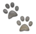 Paw Prints