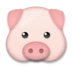 Pig Face