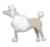 Poodle