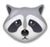 Raccoon