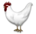 Rooster