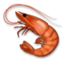 Shrimp