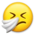 Sneezing Face