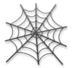 Spider Web