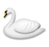 Swan