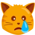 Crying Cat