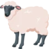 Ewe