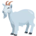 Goat