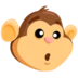 Monkey Face