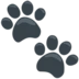 Paw Prints