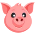 Pig Face